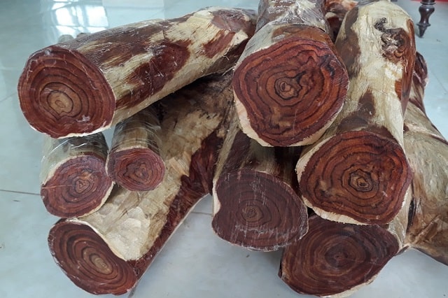 gỗ sưa đỏ bao nhiêu tiền 1kg