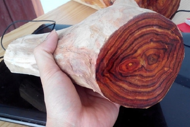 gỗ sưa đỏ bao nhiêu tiền 1kg